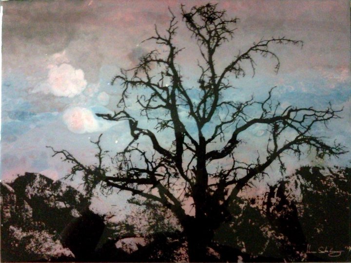 A Dead Desert Night in Joshua Tree #2 20" x 34", Diptych Mixed Media on Glass $350